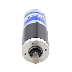 12V Brushed DC Gearmotor PA25-24126000-G429 75.46N.cm/10.5RPM with 428.68:1 Planetary Gearbox