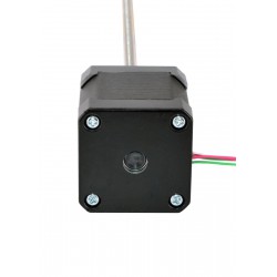 Nema 17 External Linear Stepper Motor 48mm Stack 17LS19-2604P-250E Lead 0.794mm/0.031